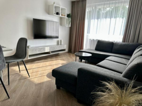 Apartment in Birstonas